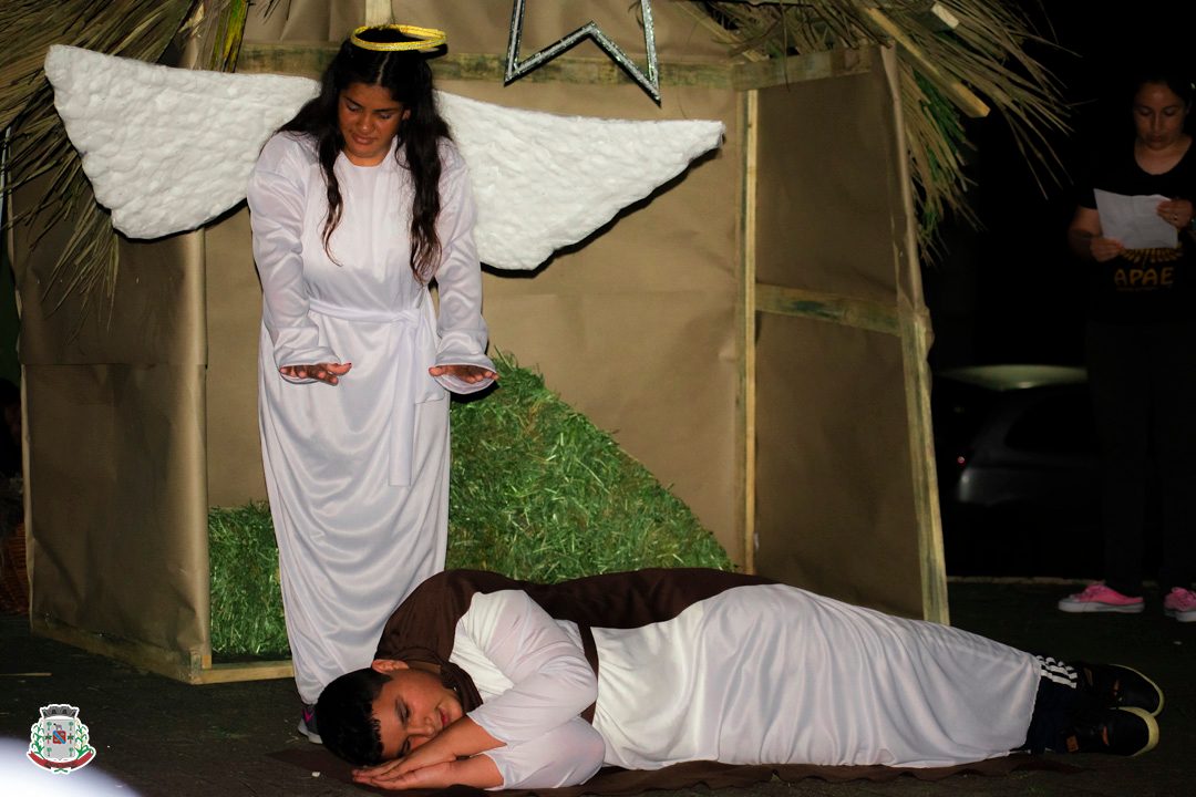 Foto - Feira da Lua em Clima de Natal