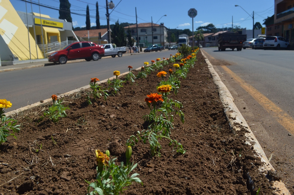 Secretários e Comissionados compram e plantam flores nos canteiros em General Carneiro