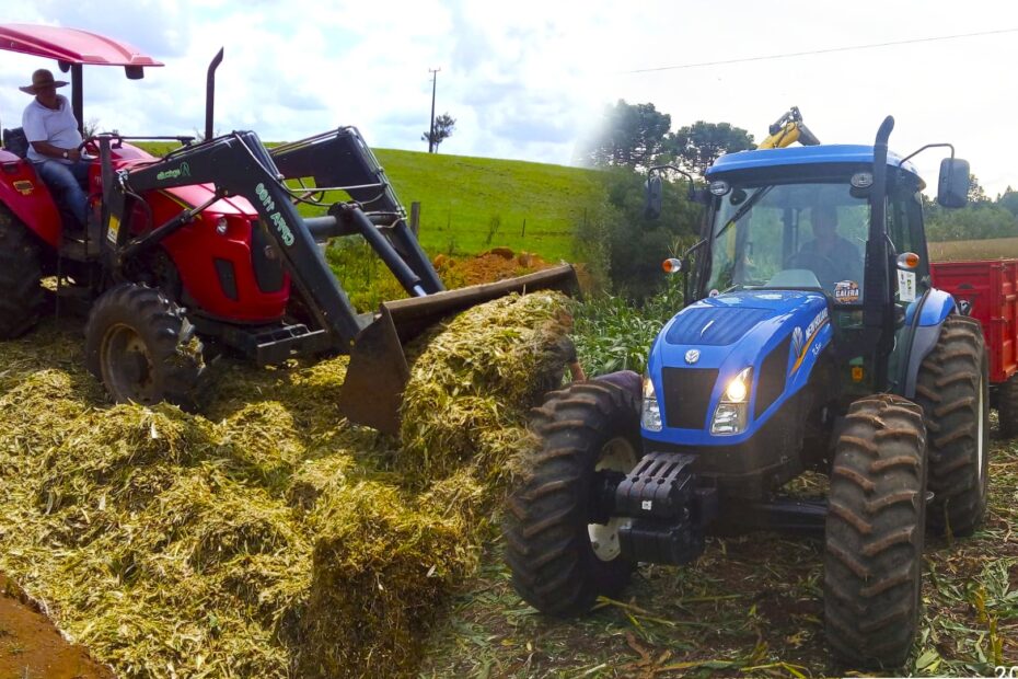 Dia após dia com nossos agricultores: confira os trabalhos realizados pela Secretaria de Agricultura nessa semana.