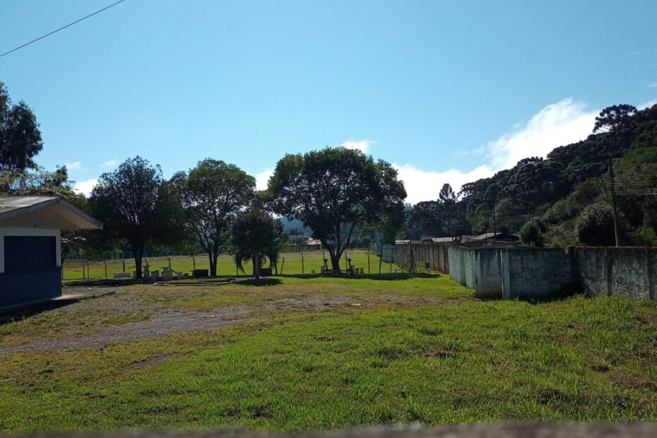 Cidade mais limpa: confira as ações de limpeza que ocorreram de dezembro até aqui.