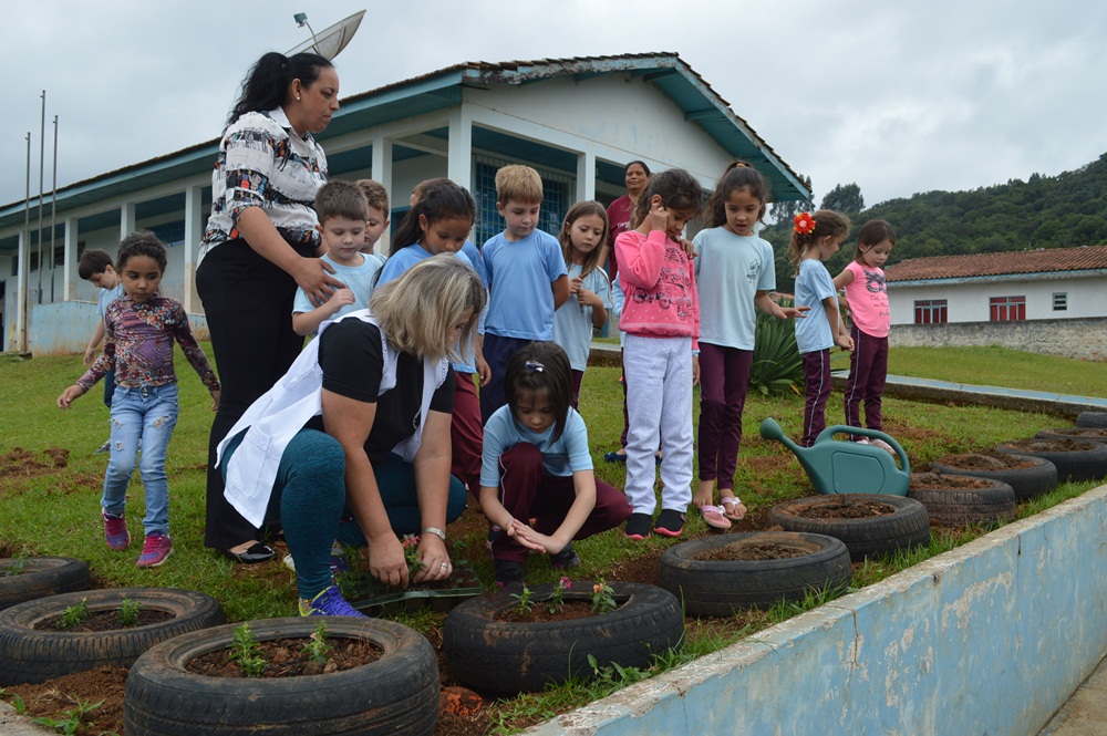 Plantando flores, e revitalizando o espaço escolar!