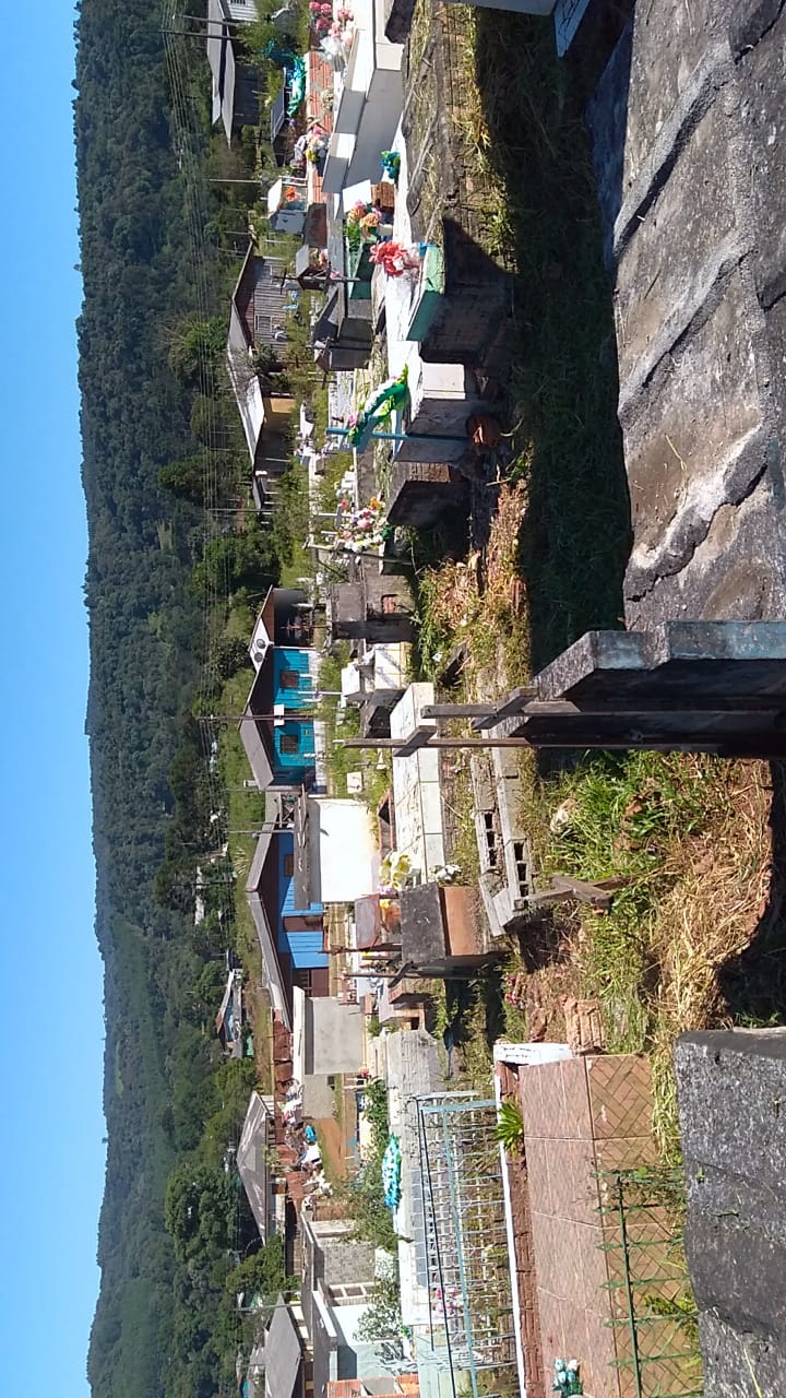 Limpeza dos cemitérios municipais