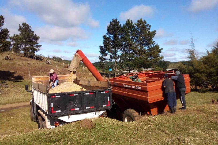 Parceria com o agricultor: Secretaria de Agricultura realiza coleta de produção em propriedades de General Carneiro e pastagens de inverno.