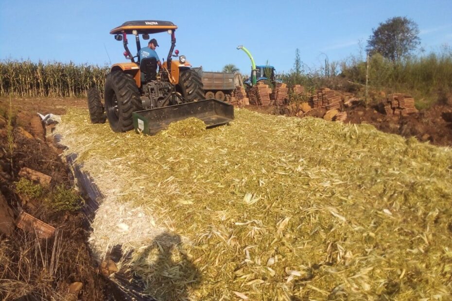 Secretaria de Agricultura inicia trabalhos de silagem junto aos produtores rurais