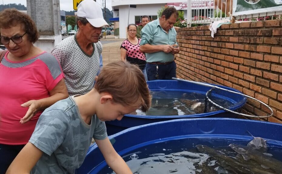 Mais de 1200kg de peixe foram comercializados em Feira do Peixe