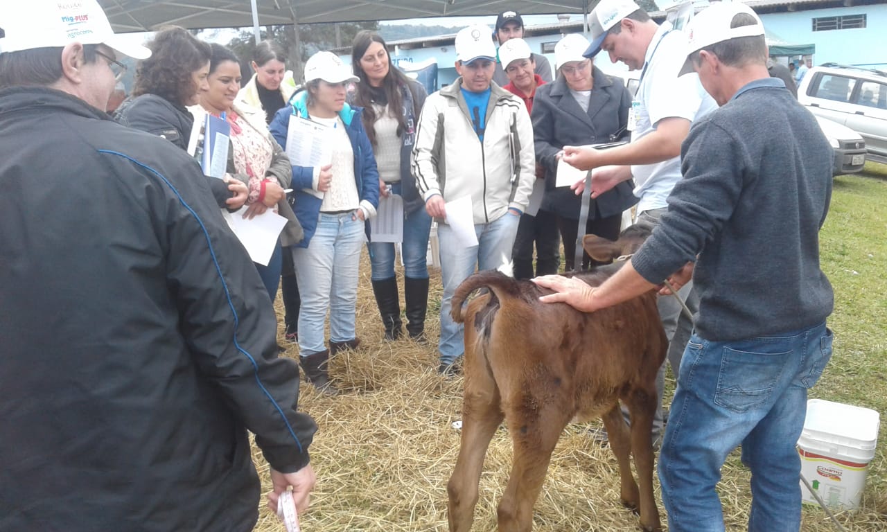 Agricultores participam de Dia de Campo em Cruz Machado