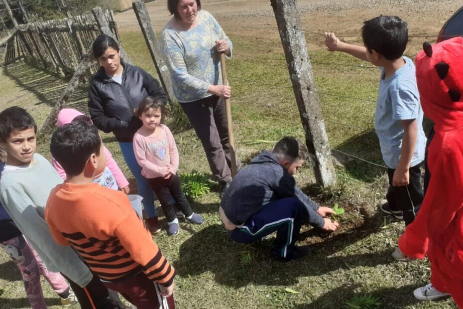 Escolas de General Carneiro recebem mudas de plantas nativas para aprender sobre espécies da região e plantio.